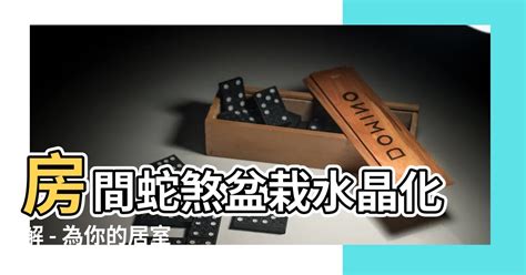 房間蛇煞化解|【房間蛇煞化解】破解房間蛇煞！風水大師教你化解厄運招好運 –。